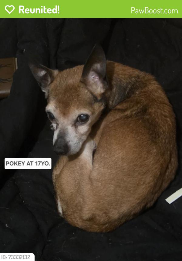 Reunited Male Dog last seen Near RADIANCE RD, Louisville, KY 40220