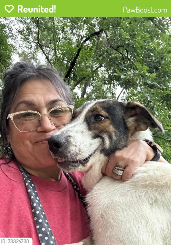 Reunited Female Dog last seen Nursery rd, Lillington, NC 27546