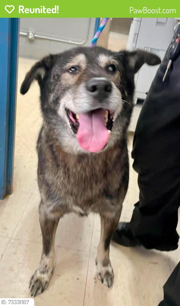 Reunited Male Dog last seen Hillcrest between Fairview and Davern, Saint Paul, MN 55116