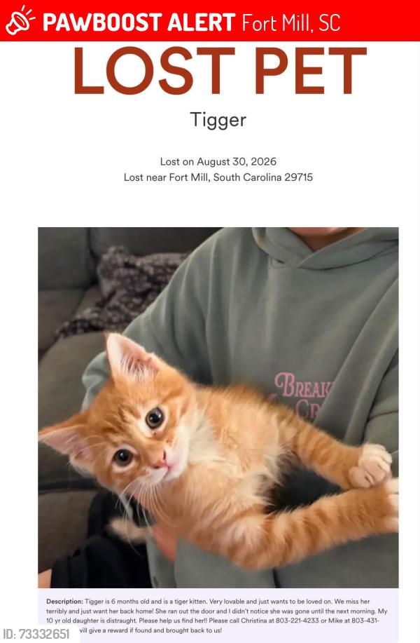 Lost Female Cat last seen Dobys bridge, Fort Mill, SC 29715