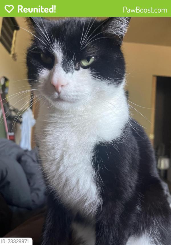 Reunited Male Cat last seen 29th and Knott, Portland, OR 97212