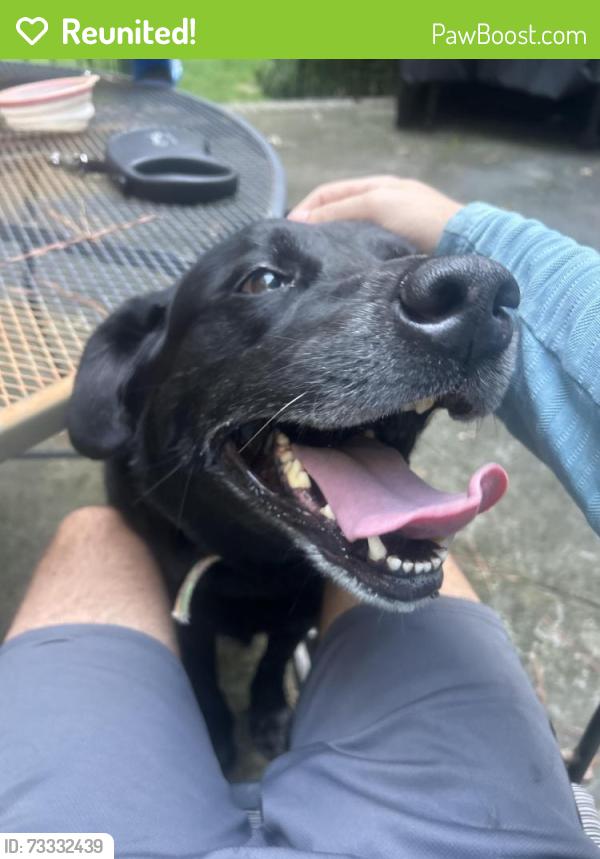 Reunited Male Dog last seen Near Flag creek rd, Yorktown, VA 23693