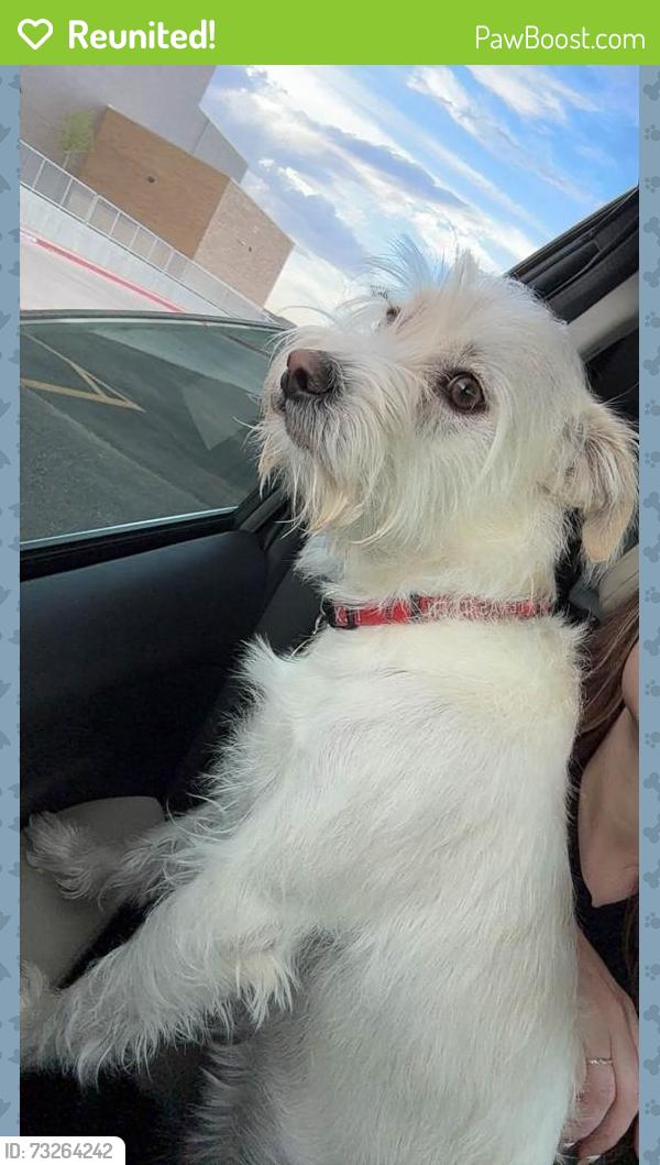 Reunited Male Dog last seen Brashear Lake Park, Levelland, TX 79336