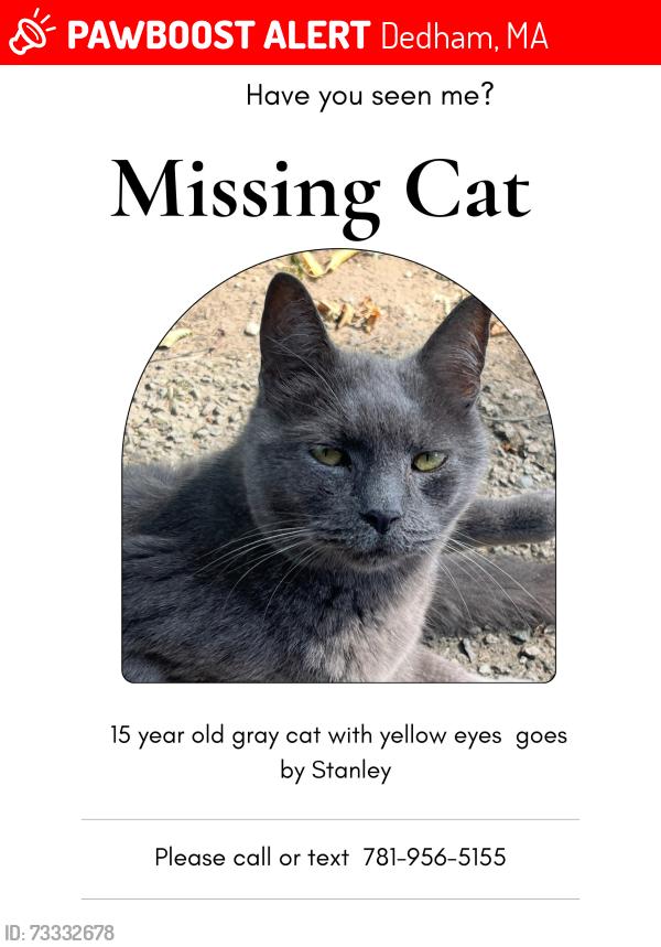 Lost Male Cat last seen Bussey St, Dedham, MA 02026