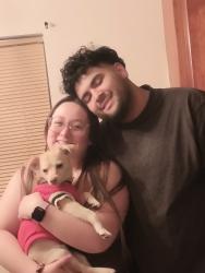 Lost Male Dog last seen Brookshire, Downey, CA 90242
