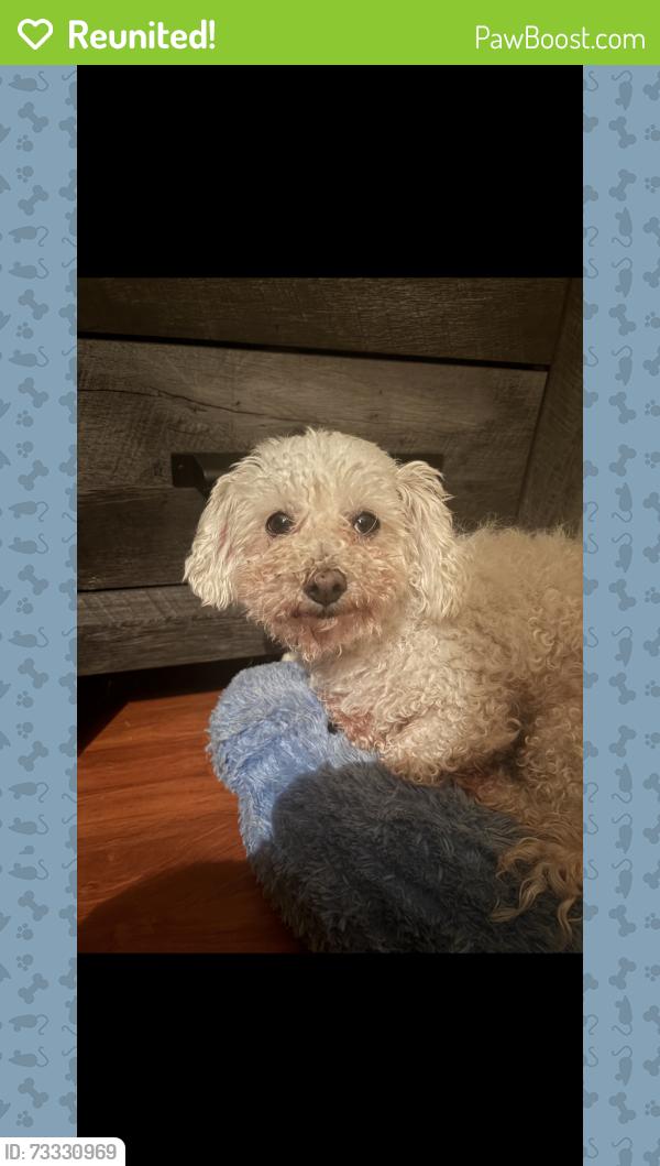 Reunited Female Dog last seen Tuggle Ives dr, Buford, GA 30519
