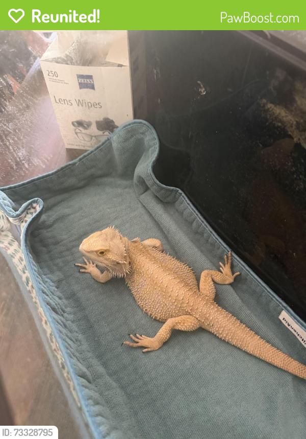 Reunited Unknown Reptile last seen Heather Marie Dr, Hendersonville, NC 28792