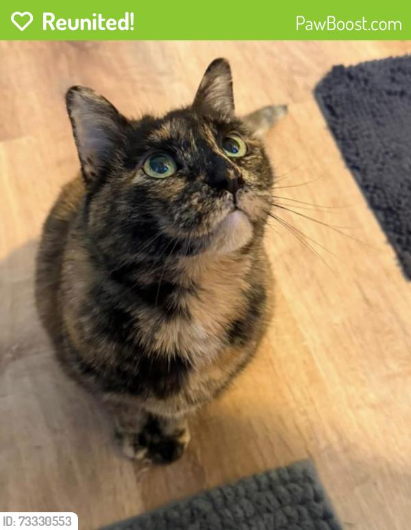 Reunited Female Cat last seen A couple blocks from Gabriel Park, Multnomah Village, Portland, OR 97219