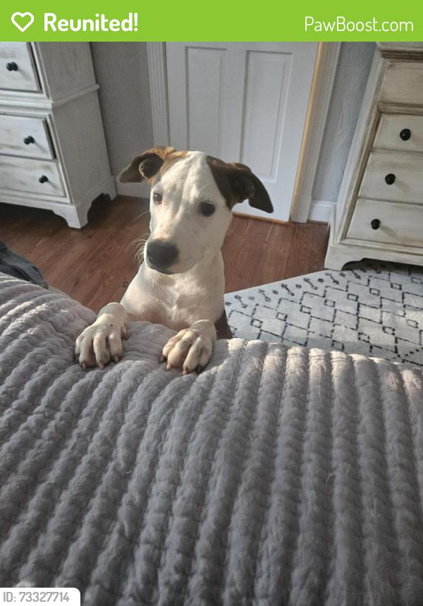 Reunited Female Dog last seen Marshall Road, Chatham County, NC 27312