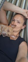 Lost Male Dog last seen Na, Plant City, FL 33527