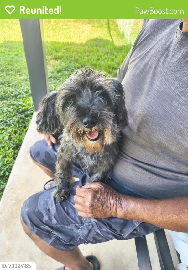 Reunited Female Dog last seen Horal cape valley, San Antonio, TX 78227