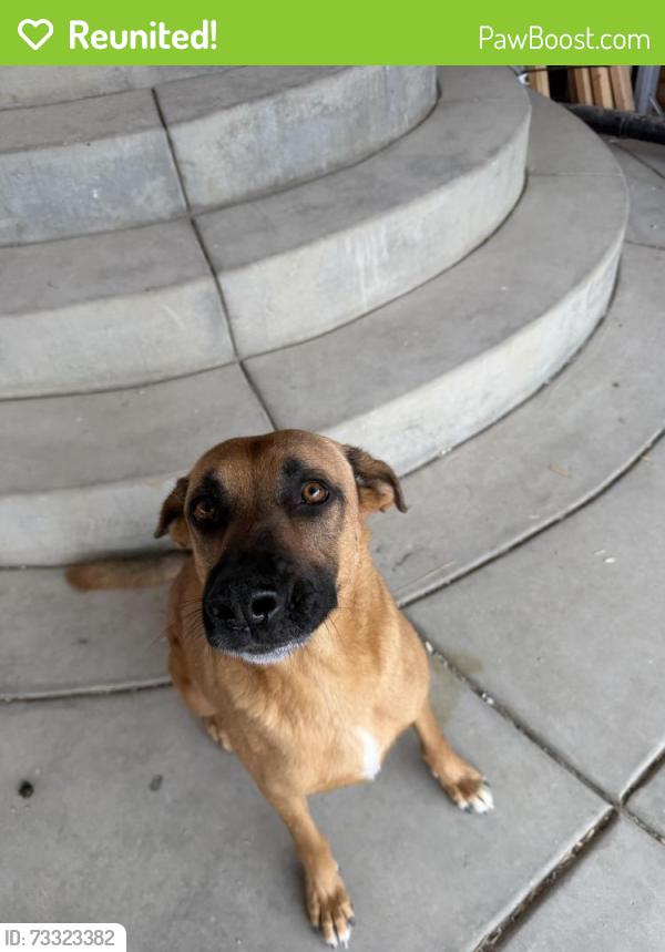 Reunited Male Dog last seen Clinton Keith, Murrieta, CA 92562