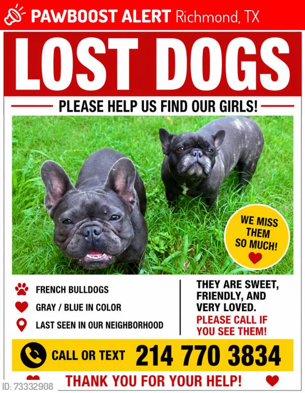 Lost Female Dog last seen W. Airport, Richmond, TX 77407