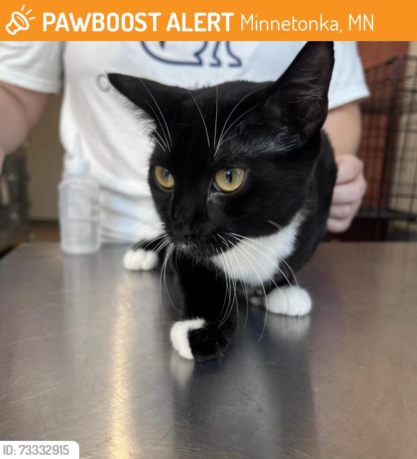 Found/Stray Female Cat last seen The Bond Between rescue Baker Road, Minnetonka, MN 55305