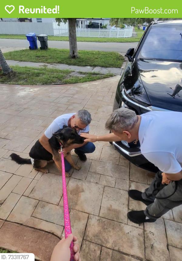 Reunited Female Dog last seen Johnson St, Hollywood, FL 33024