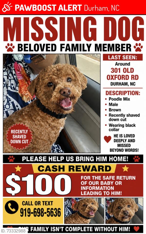 Lost Male Dog last seen Near Old Oxford, Durham, NC 27704