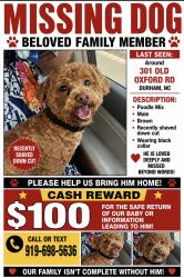 Lost Male Dog last seen Near Old Oxford, Durham, NC 27704