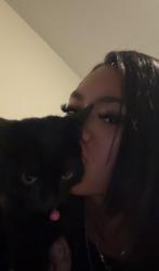 Lost Female Cat last seen Erie station, West Henrietta, NY 14586