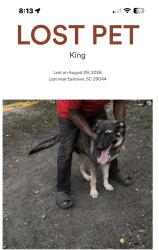 Lost Male Dog last seen Eastover,SC, Eastover, SC 29044