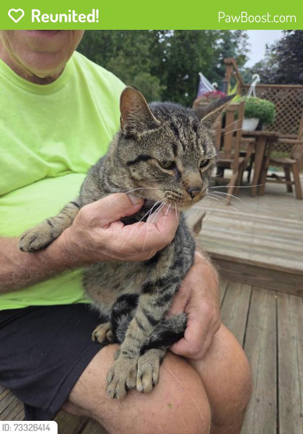 Reunited Male Cat last seen Harris Hill Rd. and Sheridan Dr., Erie County, NY 14221