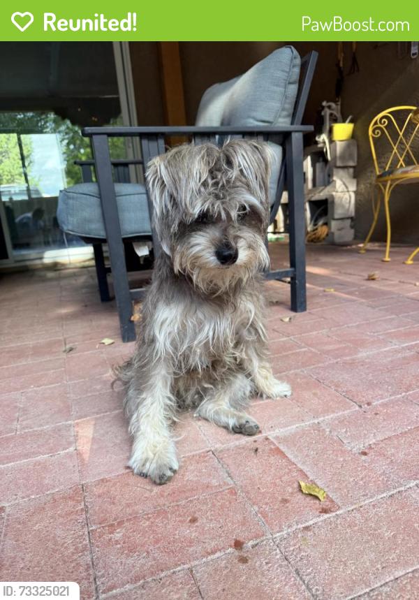 Reunited Male Dog last seen Coors / Western trail, Albuquerque, NM 87120