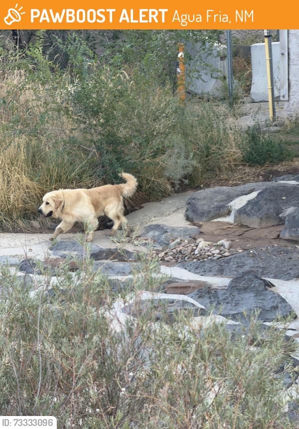 Found/Stray Unknown Dog last seen Montoya Place, Agua Fria, NM 87507
