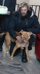 Lost Male Dog last seen Dog park on 165, New York, NY 10019