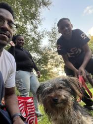 Reunited Male Dog last seen Near s. Cottage Grove., Chicago, IL 60653