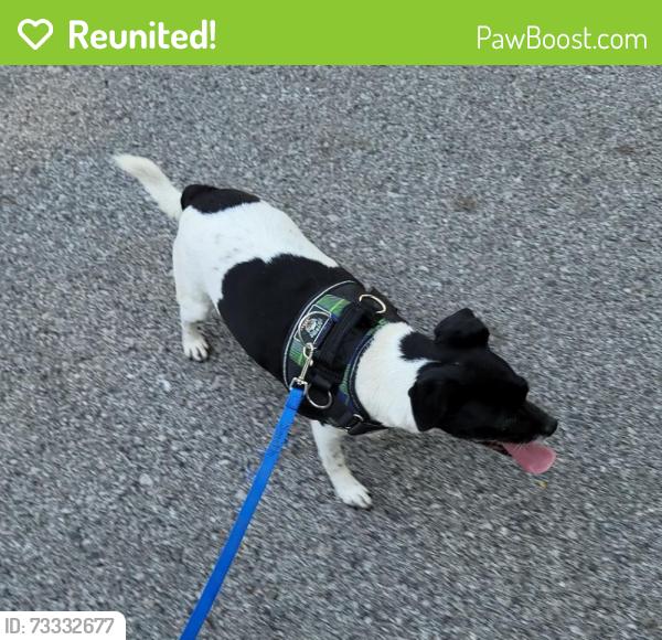 Reunited Male Dog last seen futures learning center, Independence, MO 64052