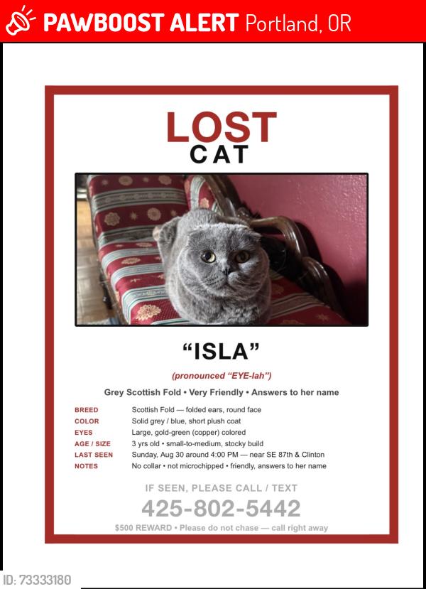 Lost Female Cat last seen 87th & Division, Portland, OR 97266