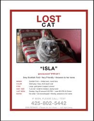 Lost Female Cat last seen 87th & Division, Portland, OR 97266