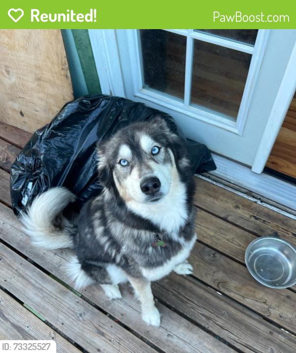 Reunited Male Dog last seen 78th ave and 204th st, Pierce County, WA 98387