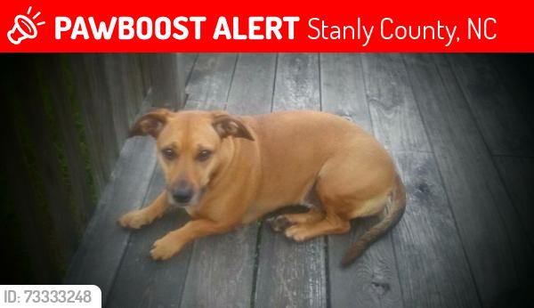 Lost Female Dog last seen Porter Road/Snuggs Road/Hwy 52 area, Stanly County, NC 28128