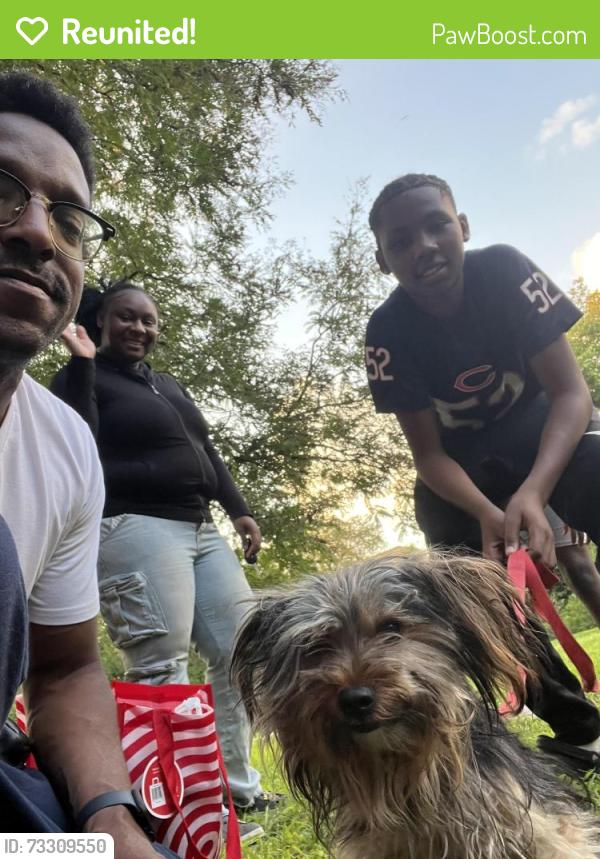 Reunited Male Dog last seen Near s. Cottage Grove., Chicago, IL 60653
