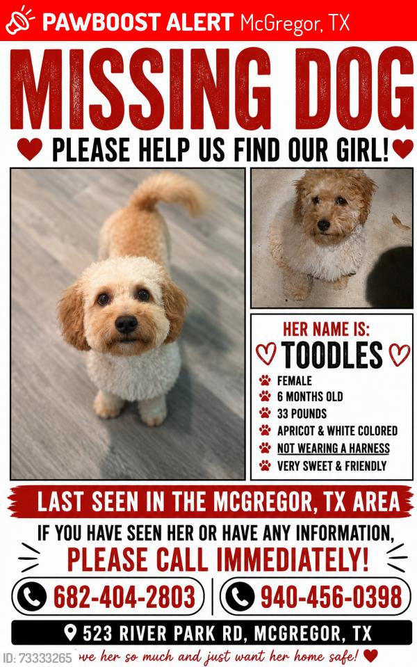 Lost Female Dog last seen River park Rd Mcgregor Texas, McGregor, TX 76657