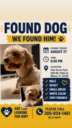 Found/Stray Male Dog last seen Oak Grove Park, Miami, FL 33162
