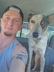 Reunited Male Dog last seen Toll road, Reno, NV 89521