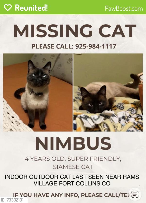 Reunited Male Cat last seen elizabeth and constitution, Fort Collins, CO 80521