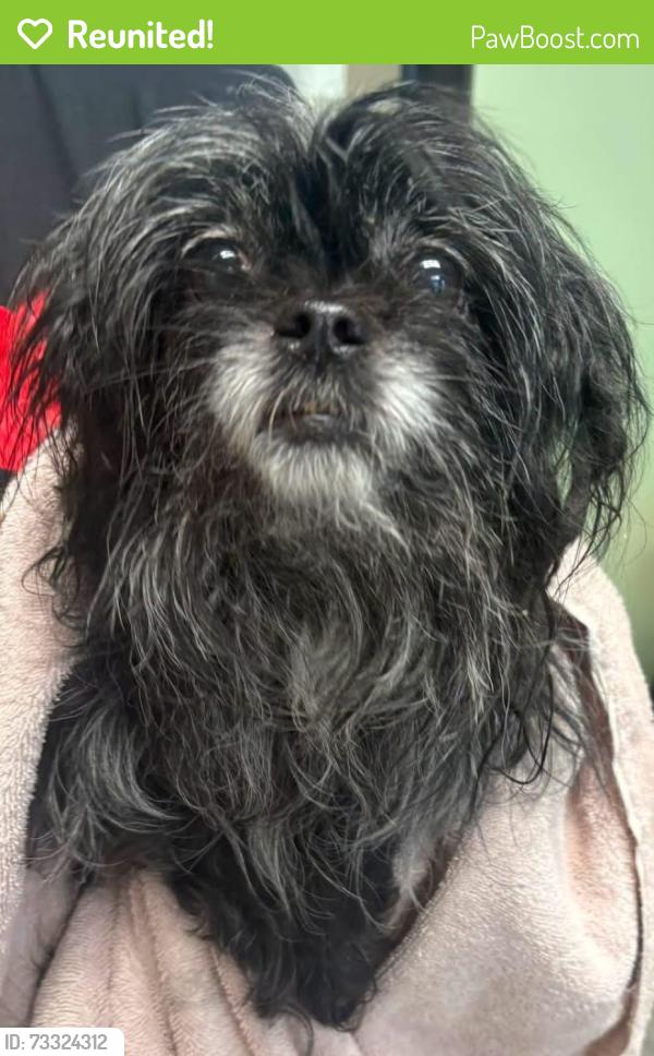 Reunited Unknown Dog last seen Located at Rockdale County Animal Service, 1506 Rockbridge Road, Conyers, GA 30012, Conyers, GA 30012