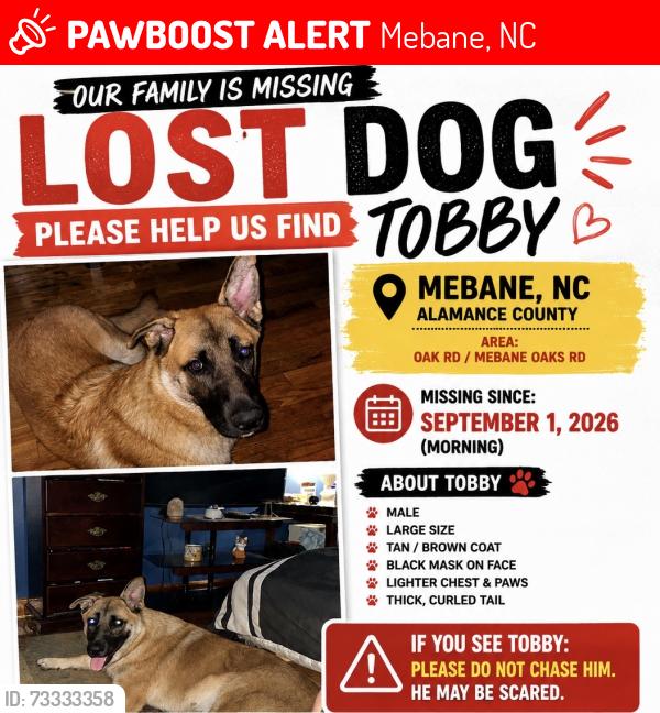 Lost Male Dog last seen Brundage ln Mebane nc, Mebane, NC 27302