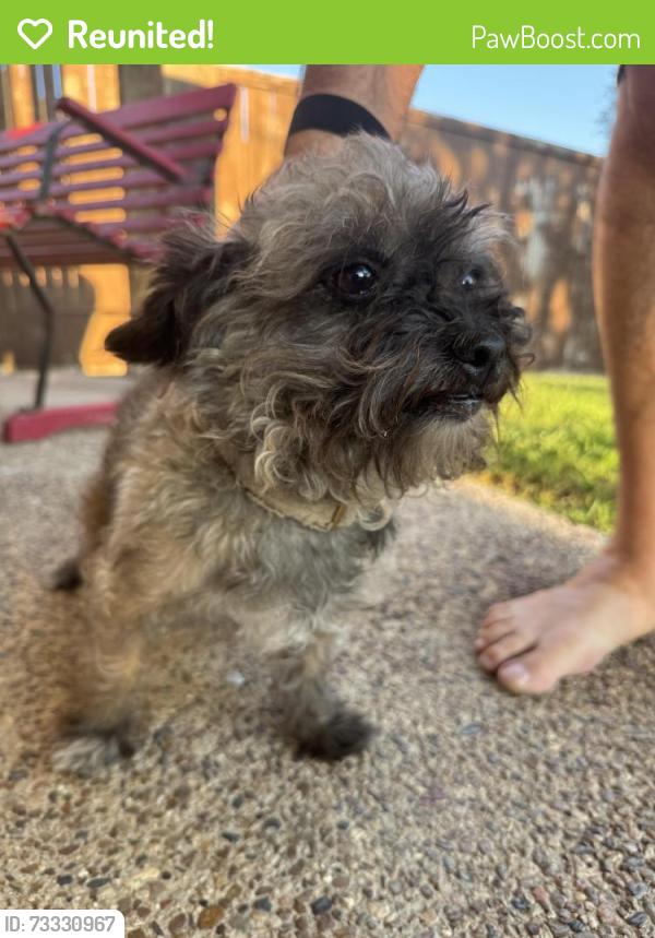 Reunited Female Dog last seen Chapel Creek, Fort Worth, TX 76108
