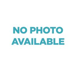 Shelter Stray Female Cat last seen Millar Street, El Cajon, CA, 92020, El Cajon, CA 92020, USA