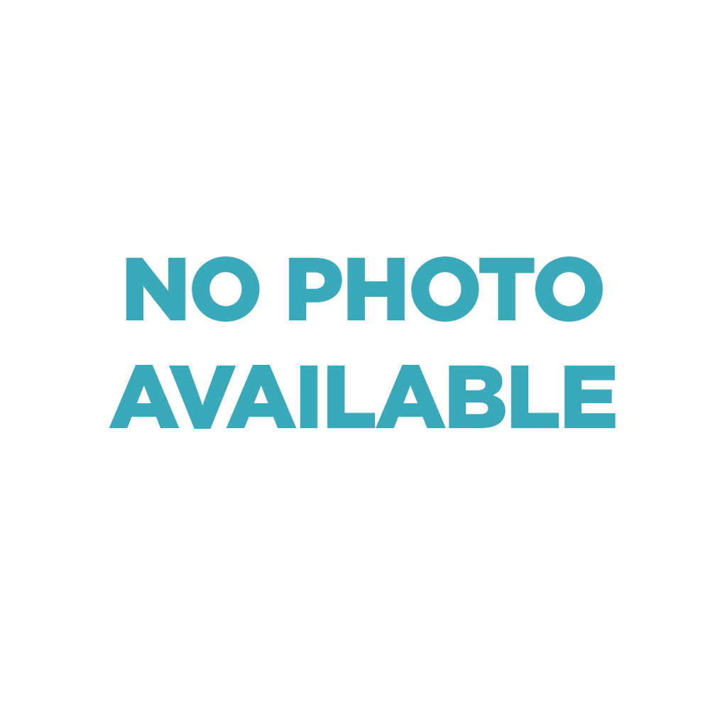 Shelter Stray Female Cat last seen Millar Street, El Cajon, CA, 92020, El Cajon, CA 92020, USA