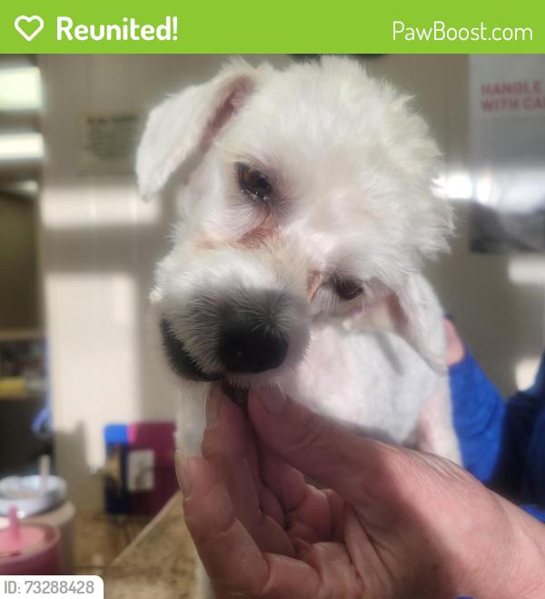 Reunited Male Dog last seen Eisenhower Drive near LeHarvey and Deauville Street, Tyler, TX 75704
