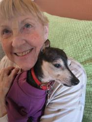Reunited Female Dog last seen Happy Trail & Lariat in Coventey Hills, Fort Worth, TX 76244