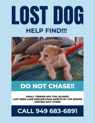Lost Female Dog last seen Lake Gregory, Crestline, CA 92325