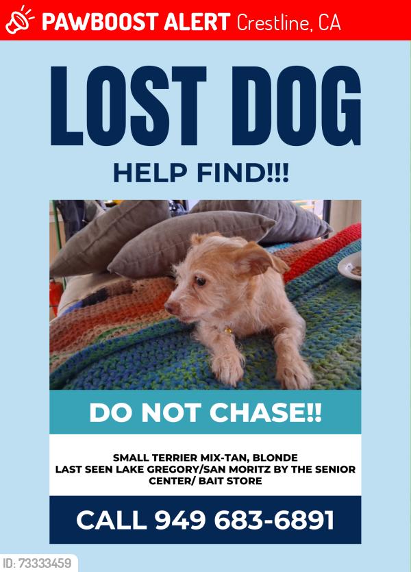 Lost Female Dog last seen Lake Gregory, Crestline, CA 92325