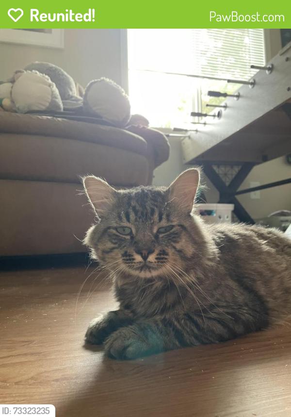 Reunited Male Cat last seen Sam’s Club, Anchor Dr, Harbor Ln, Evans, CO 80620