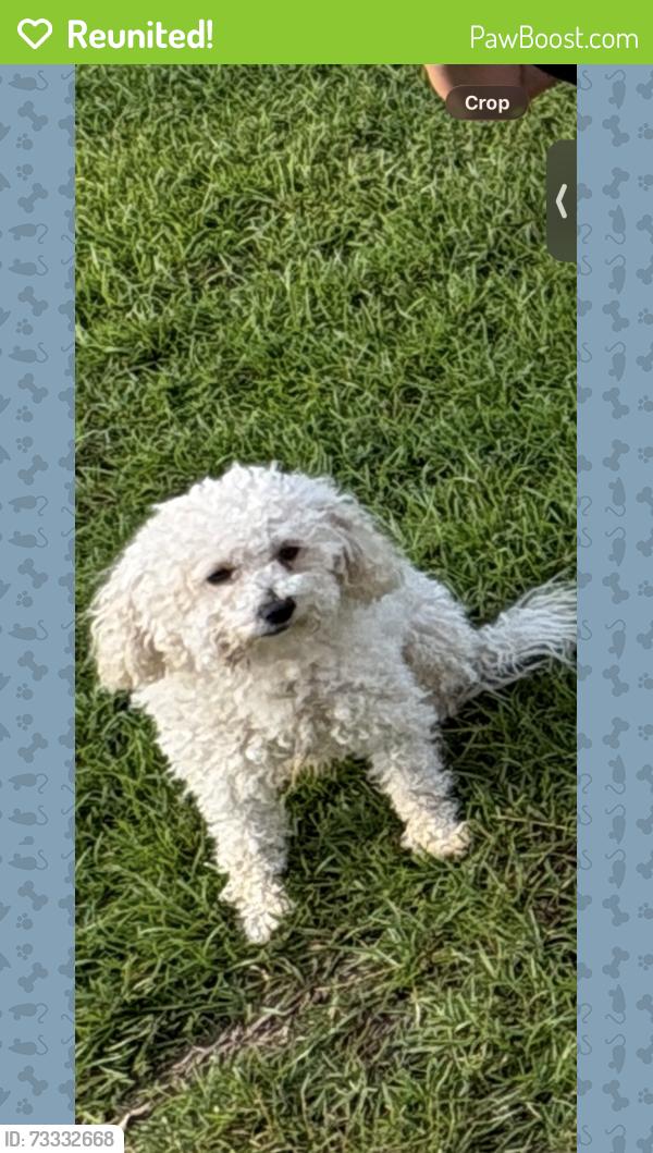 Reunited Male Dog last seen Dempsey Pl & Winn dr, Gwinnett County, GA 30044