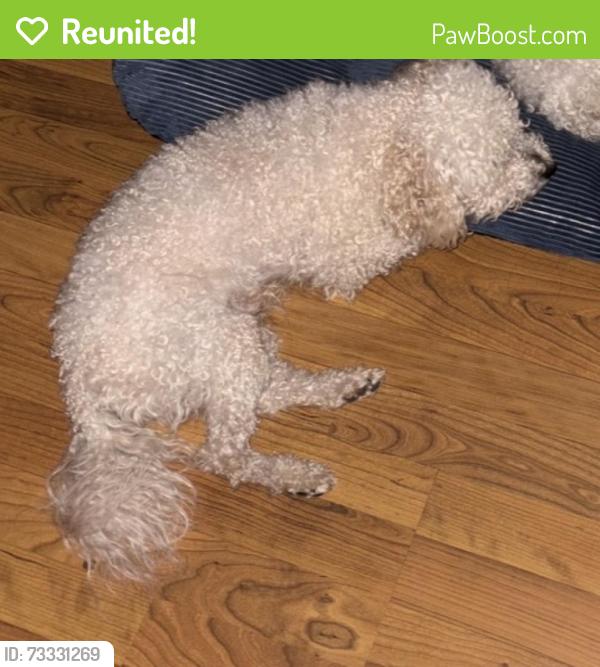 Reunited Male Dog last seen Dempsey Pl Lawrenceville, Gwinnett County, GA 30044